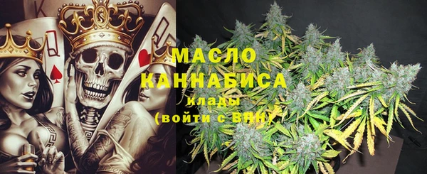 крисы Абаза