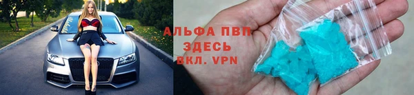 крисы Абаза