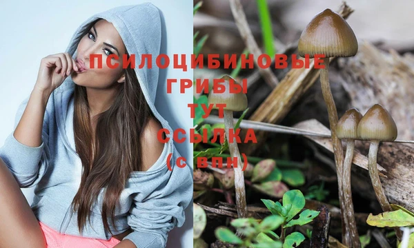 синтетический гашиш Абдулино