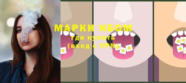 крисы Абаза