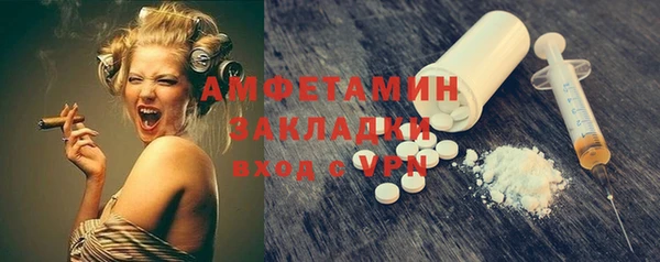 крисы Абаза