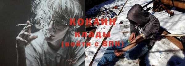 крисы Абаза