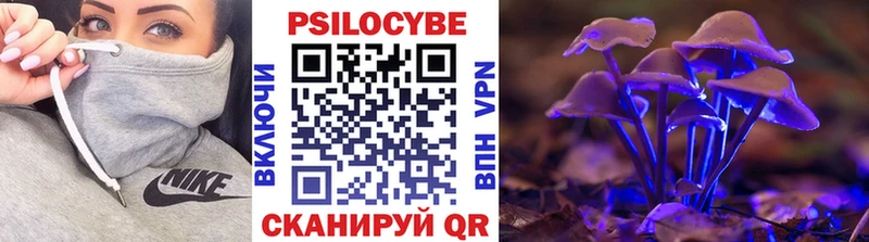 Галлюциногенные грибы Psilocybine cubensis  Невельск 